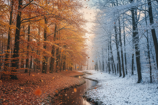 Fall and Winter Electrical Maintenance for Colorado Homeowners